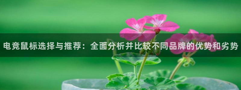 必赢电竞最新比赛