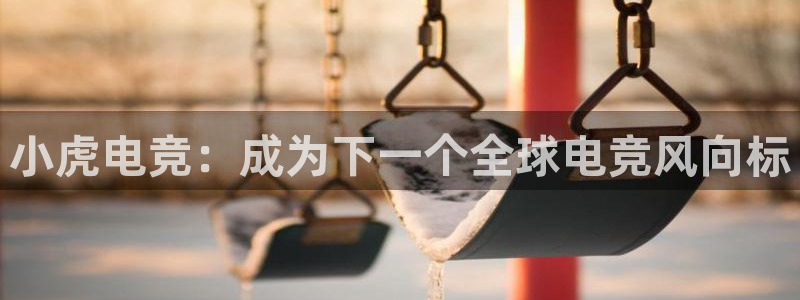 必赢电竞最新比赛：小虎电竞：成为下一个全球电竞风向标