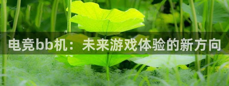 必赢电竞：电竞bb机：未来游戏体验的新方向