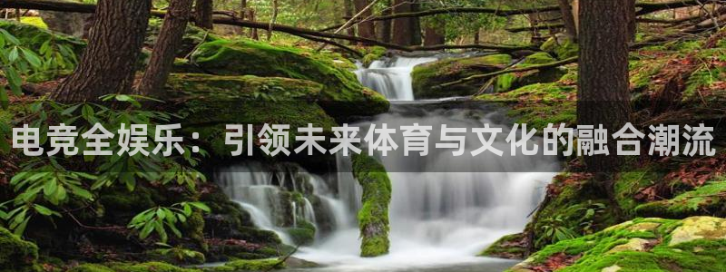 必赢电竞