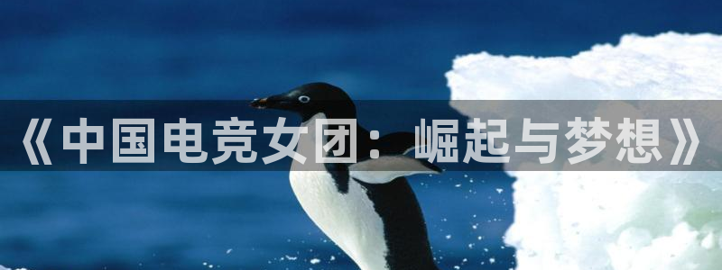 必赢电竞：《中国电竞女团：崛起与梦想》