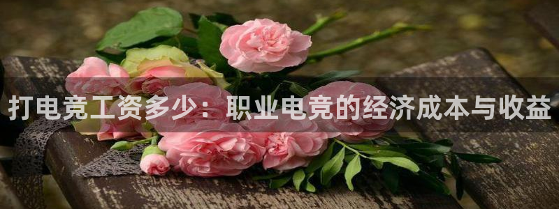 必赢电竞：打电竞工资多少：职业电竞的经济成本与收益