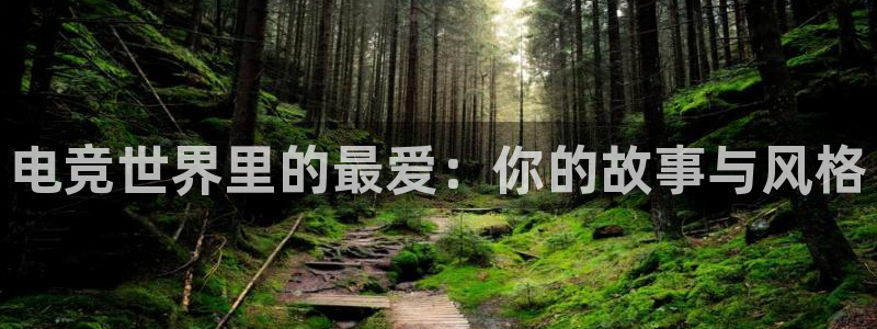 必赢电竞：电竞世界里的最爱：你的故事与风格
