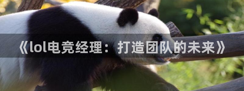 必赢电竞最新比赛：《lol电竞经理：打造团队的未来》