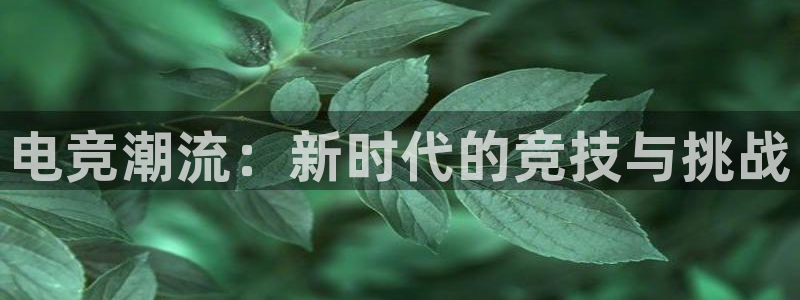 必赢电竞最新比赛：电竞潮流：新时代的竞技与挑战