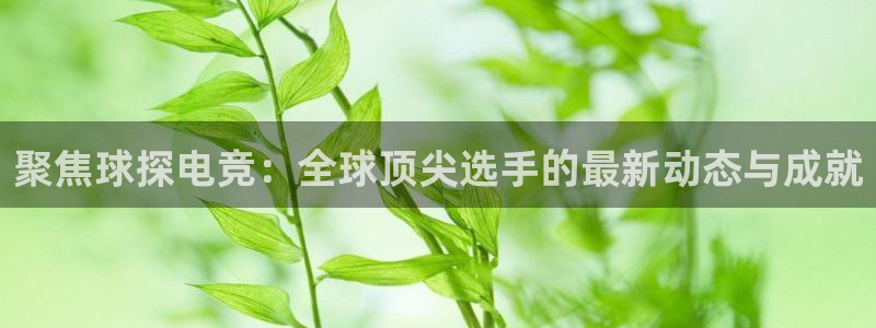 必赢电竞最新比赛：聚焦球探电竞：全球顶尖选手的最新动态与成就