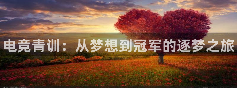 必赢电竞：电竞青训：从梦想到冠军的逐梦之旅