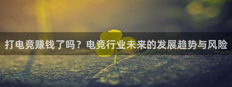 必赢电竞最新比赛：打电竞赚钱了吗？电竞行业未来的发展趋势与风险