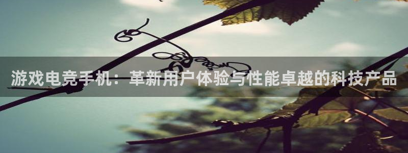 必赢电竞最新比赛：游戏电竞手机：革新用户体验与性能卓越的科技产品